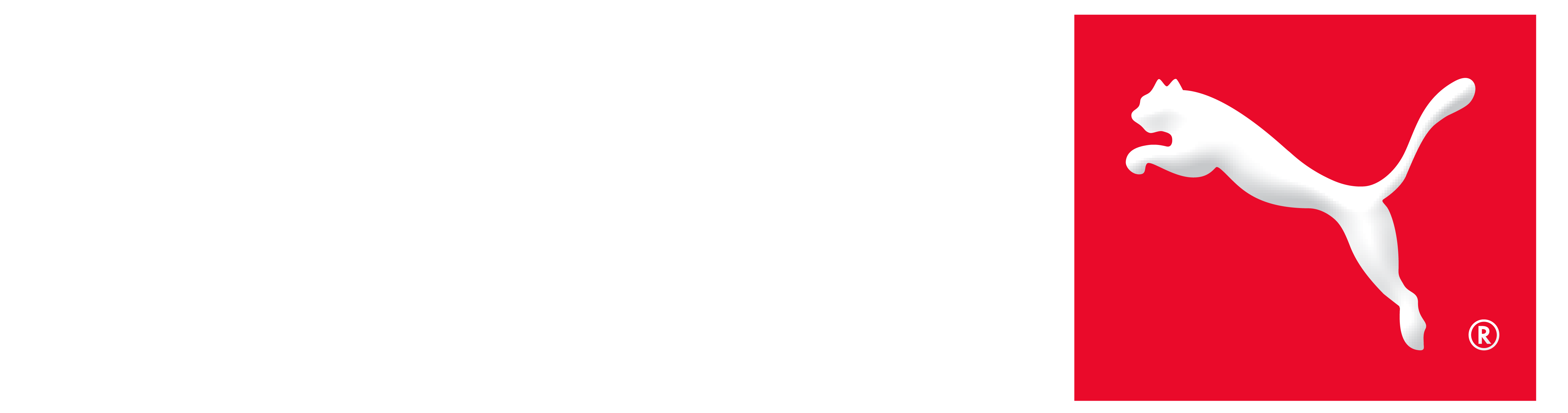 OneSports
